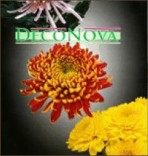 BG-FLOWER - Партньори - DecoNova