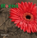 BG-FLOWER - Партньори - Florist